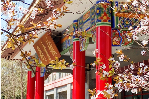 QQ图片20201216171615.png